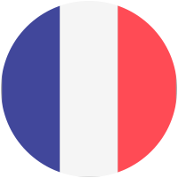 Bandiera Francese